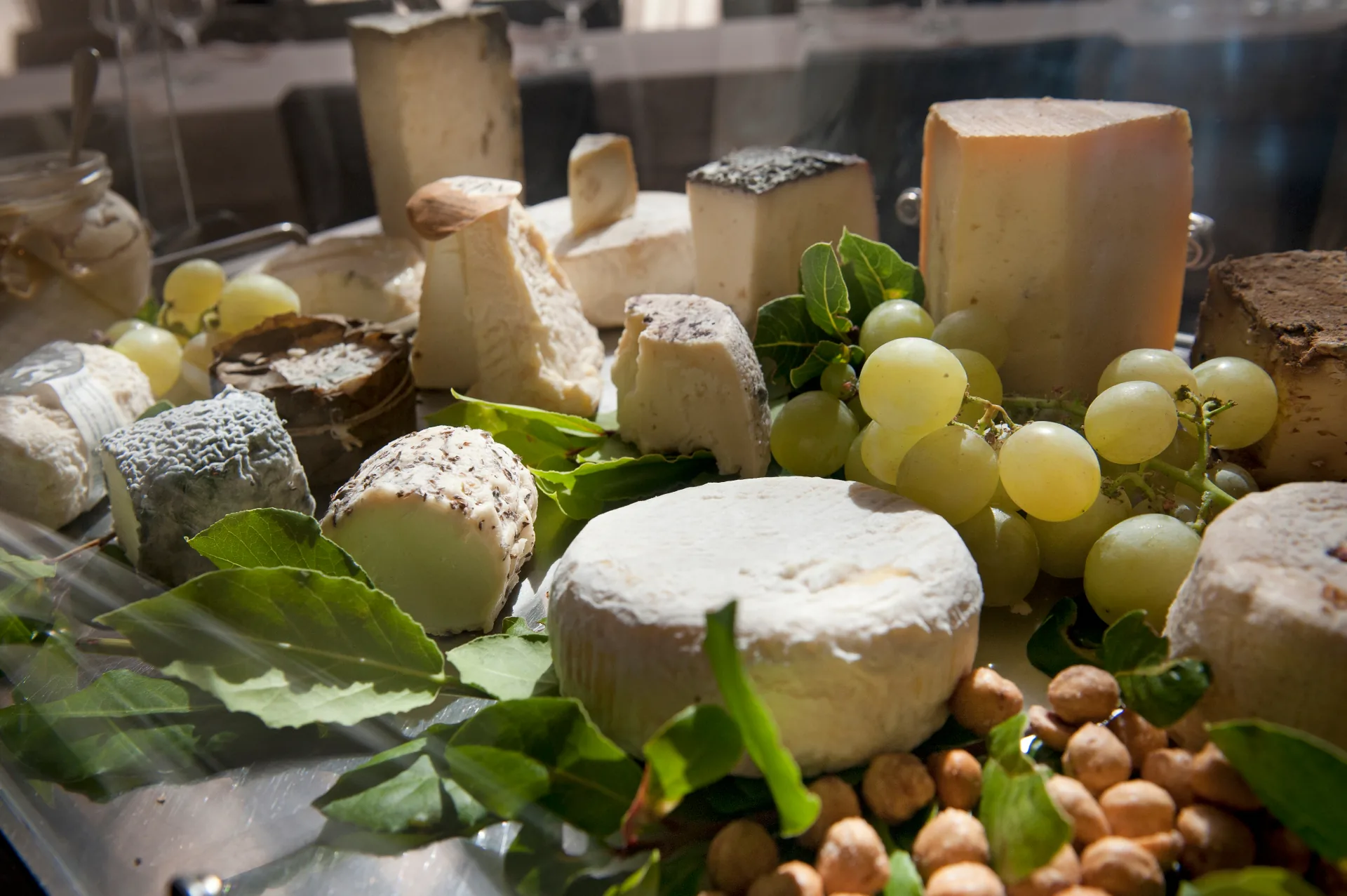 Artisan cheese selection