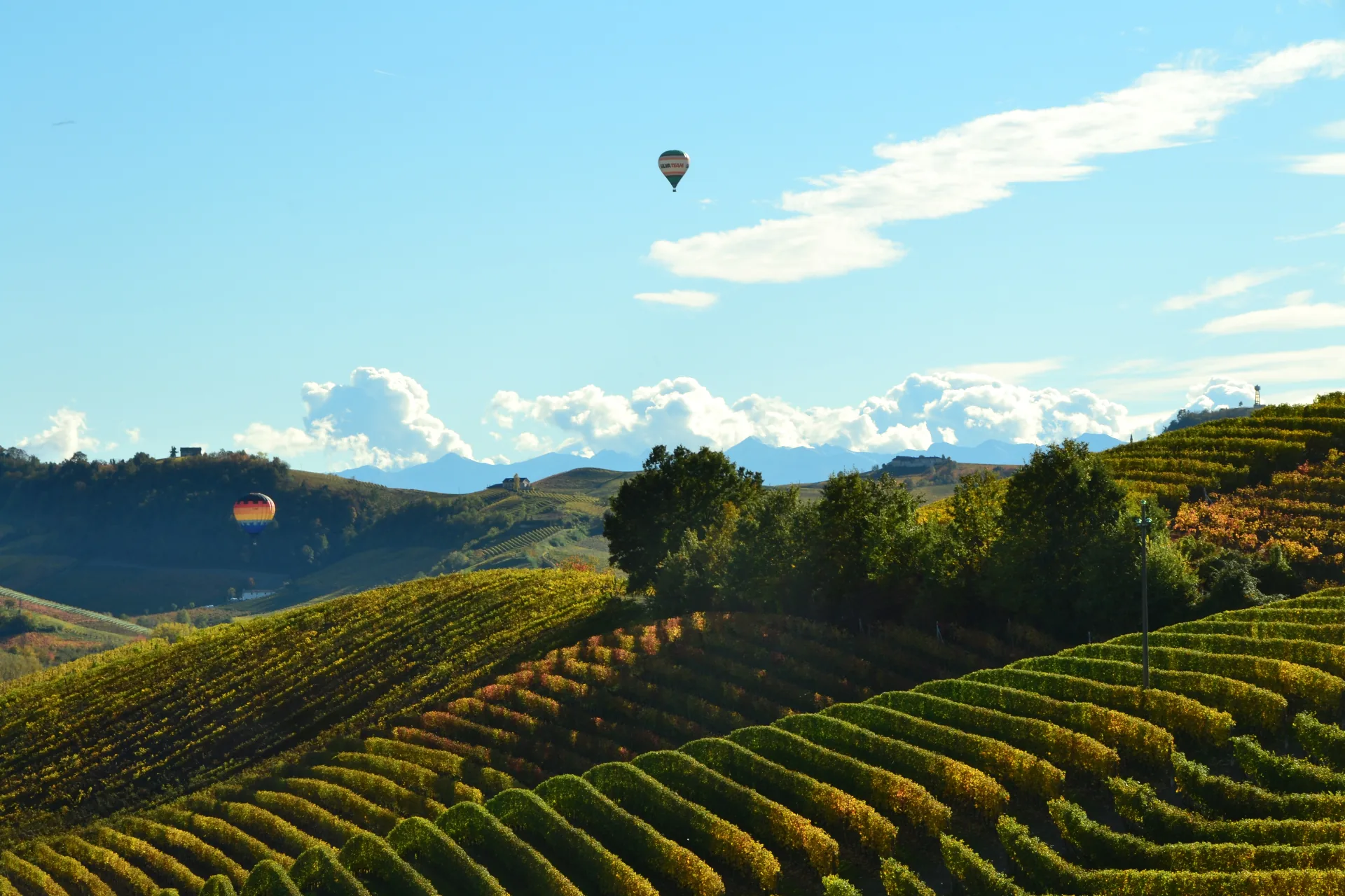 Hot air balloons over the Langhe hills