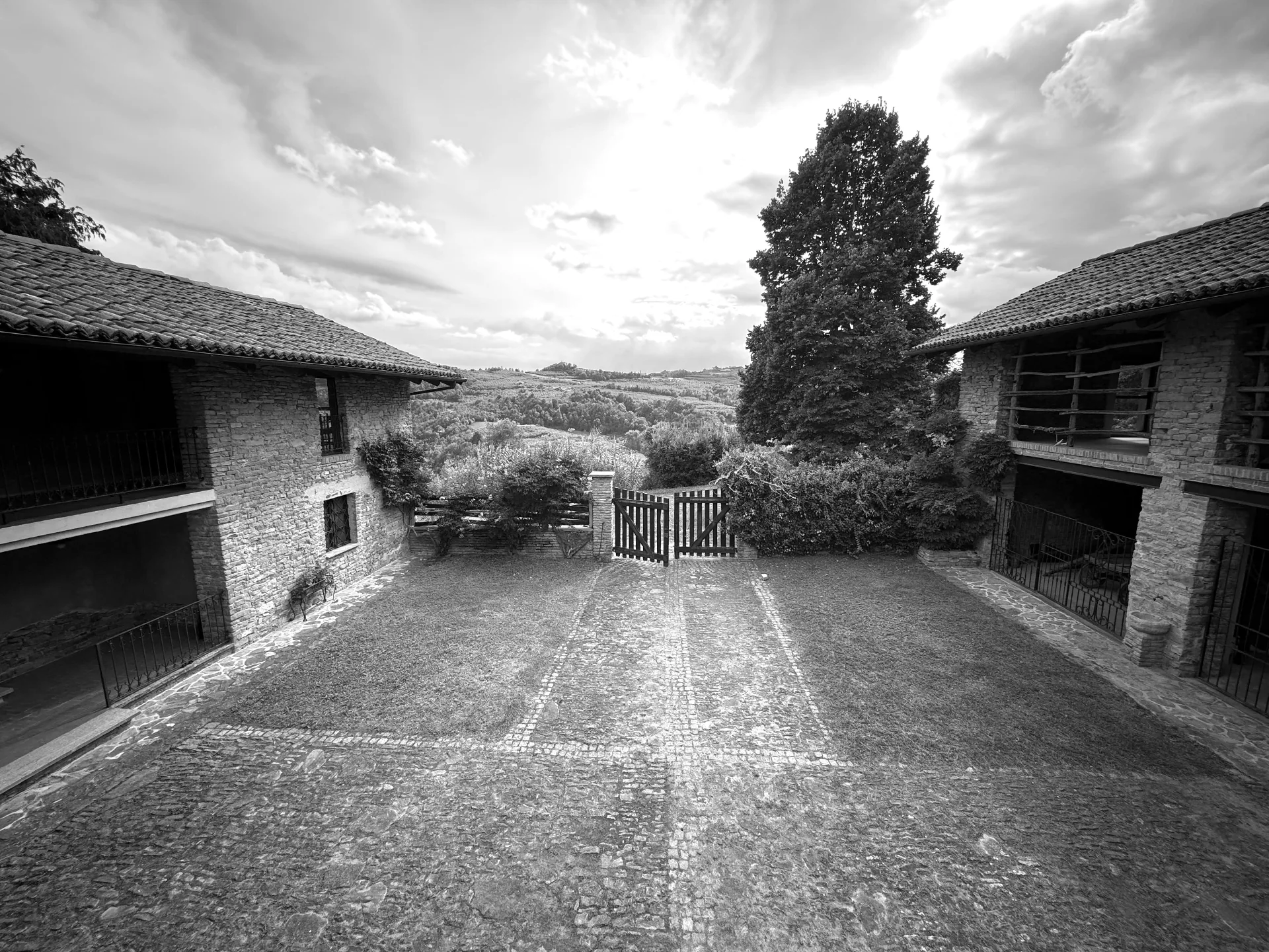 Black and white vineyard landscape in the Langhe